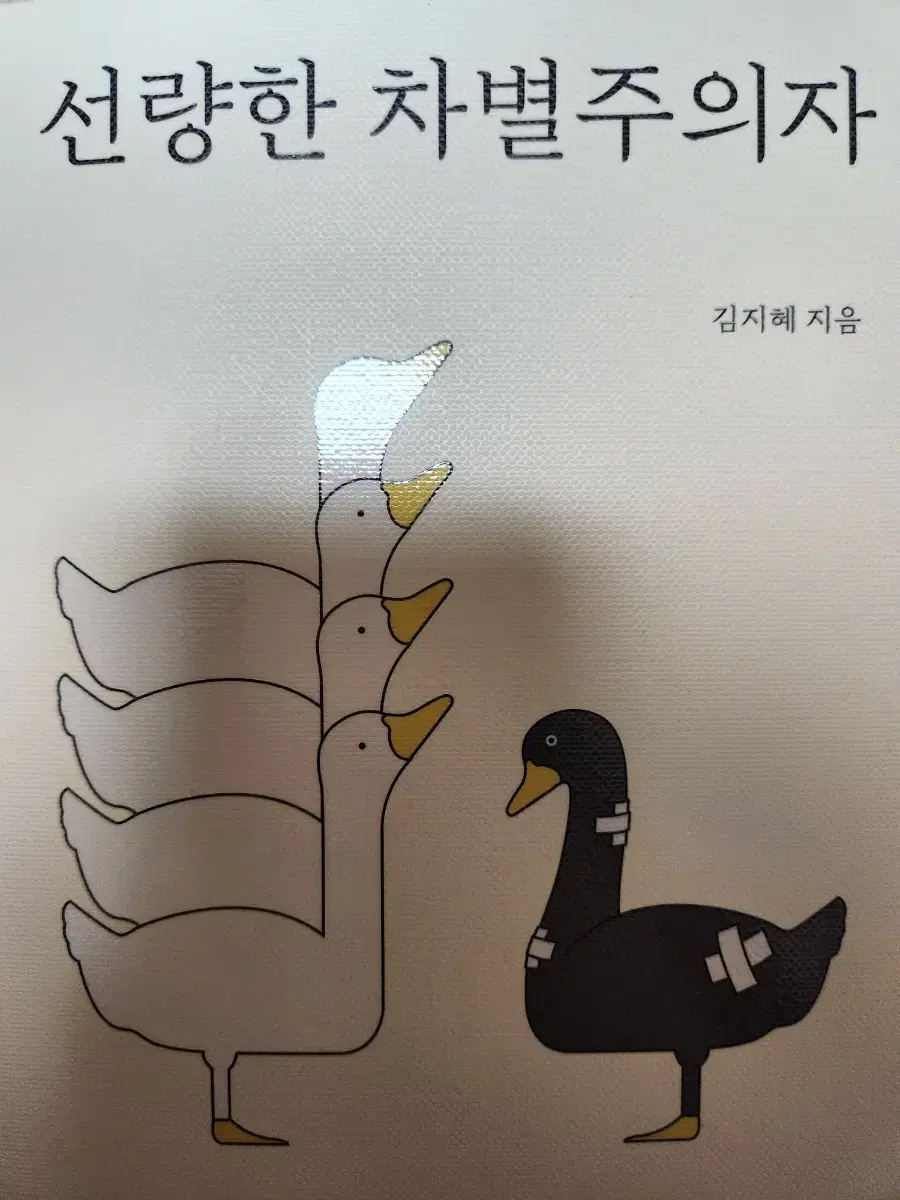 선량한 차별주의자